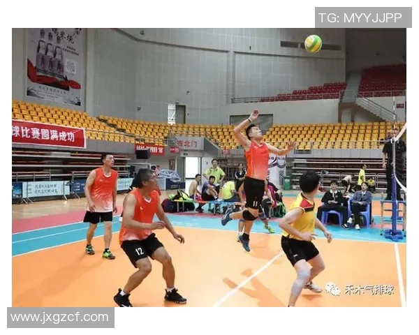 杭州排球队战术解析与发展策略探讨助力竞技水平提升